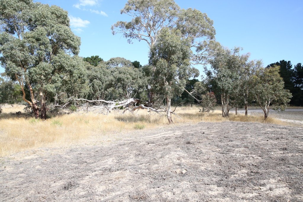 Lot 1 Old Glenelg Highway SCARSDALE 3