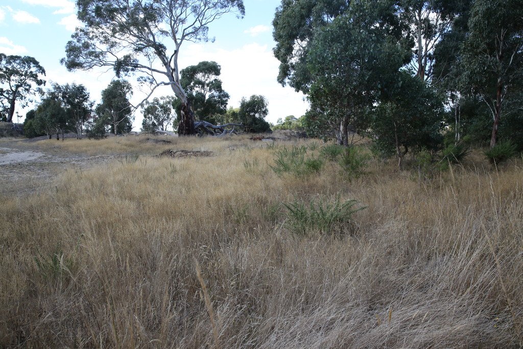 Lot 1 Old Glenelg Highway SCARSDALE 5