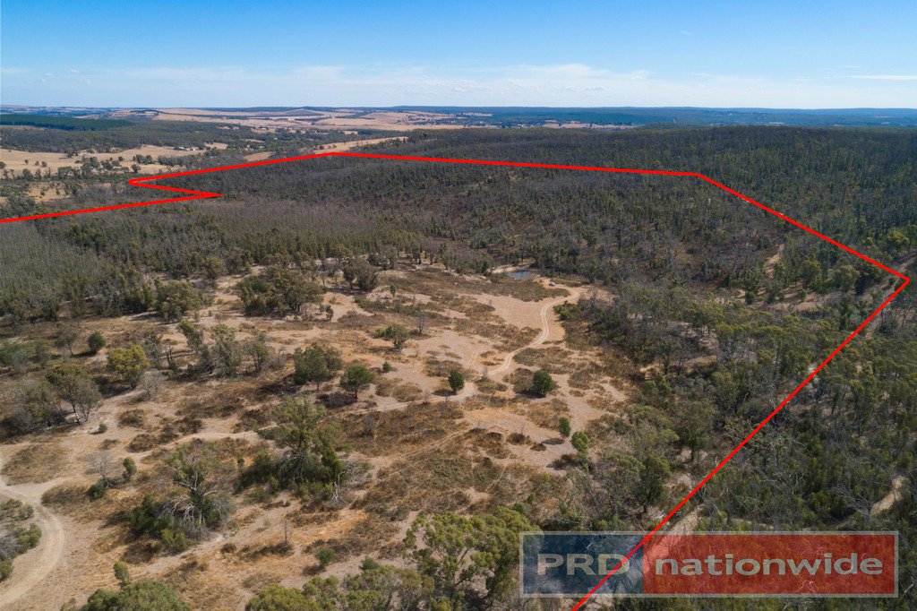 Lot 1 Platts Road SCOTSBURN 6