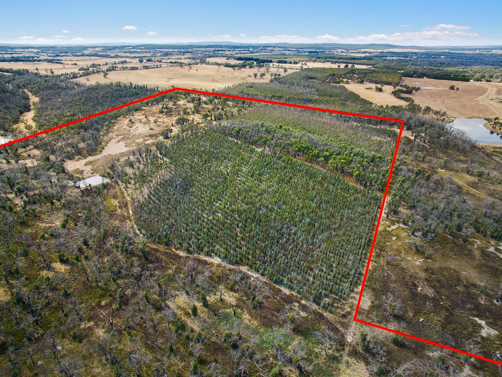 Lot 1 Platts Road SCOTSBURN 7