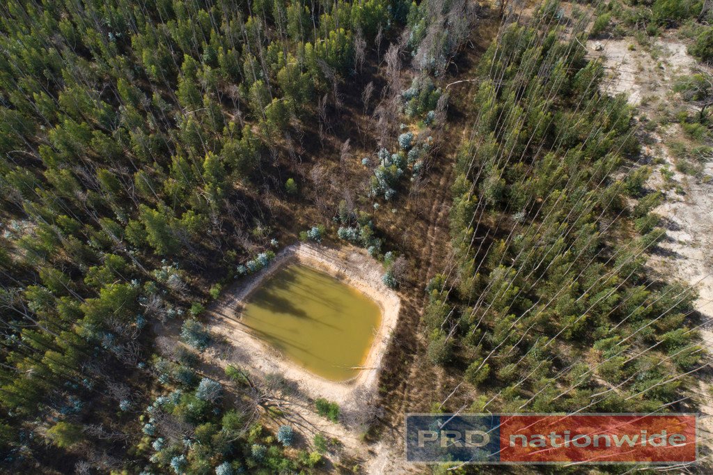 Lot 1 Platts Road SCOTSBURN 10