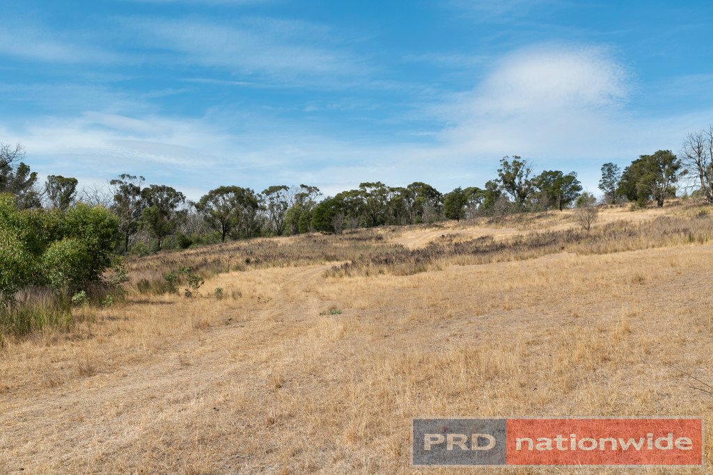 Lot 1 Platts Road SCOTSBURN 12