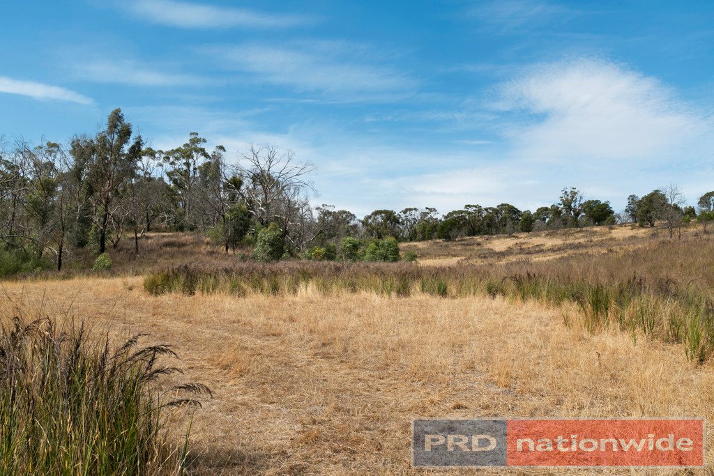 Lot 1 Platts Road SCOTSBURN 13