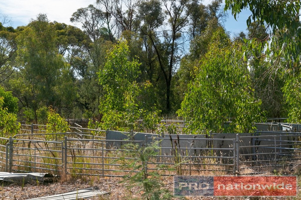 Lot 1 Platts Road SCOTSBURN 14