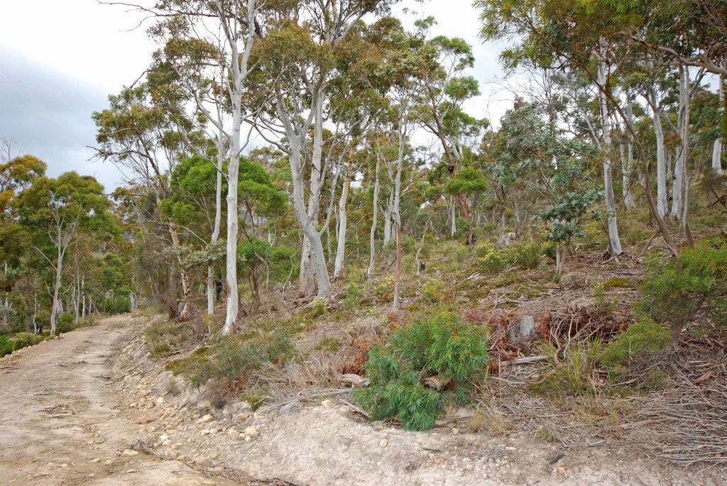 Lot 1 Poulters Road NEW NORFOLK 12