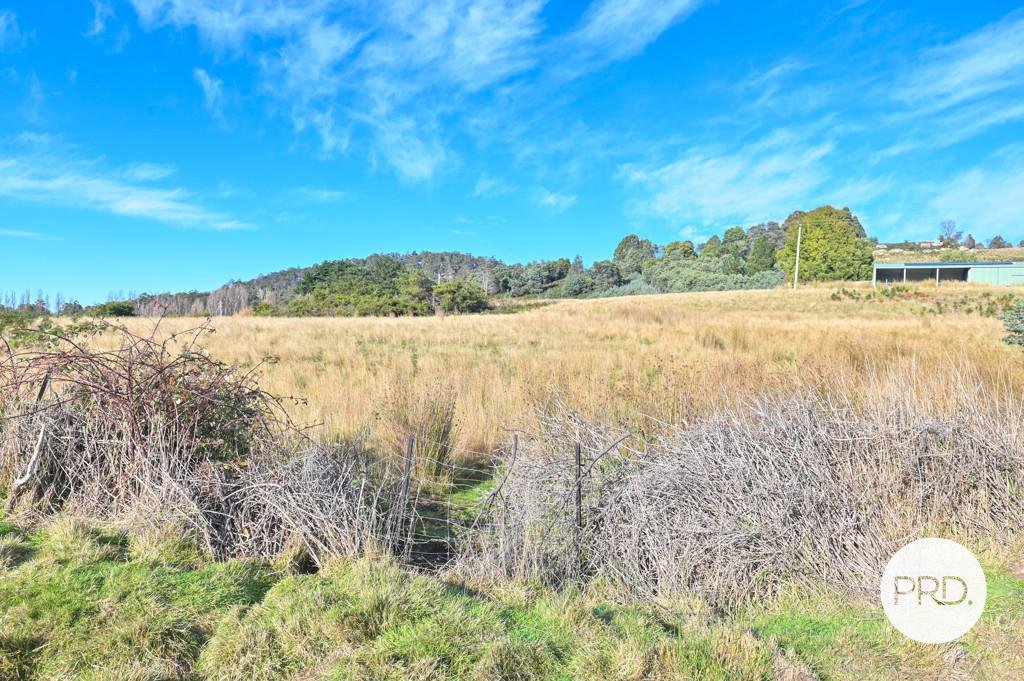 Lot 1 Rayners Hill Road ELLENDALE 11