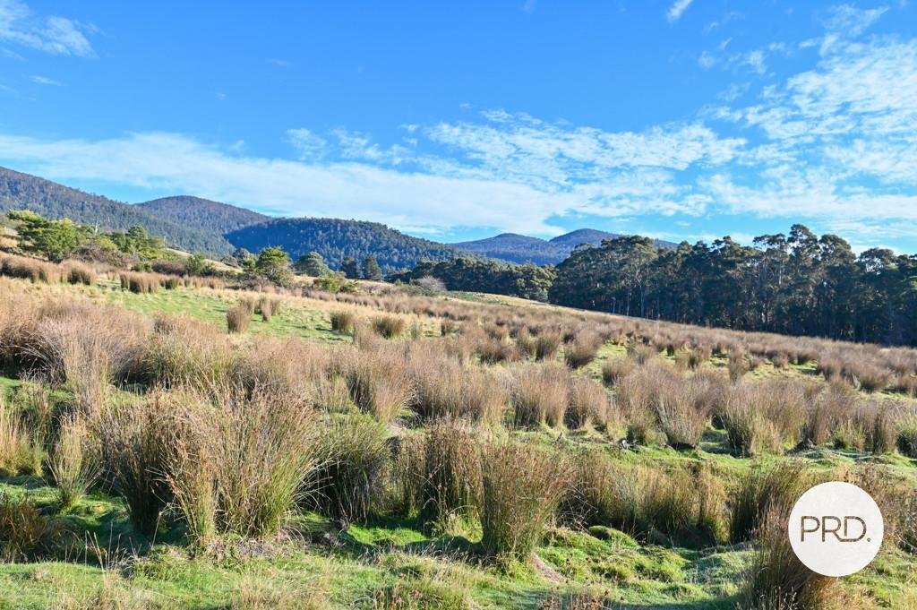 Lot 1 Rayners Hill Road ELLENDALE 12