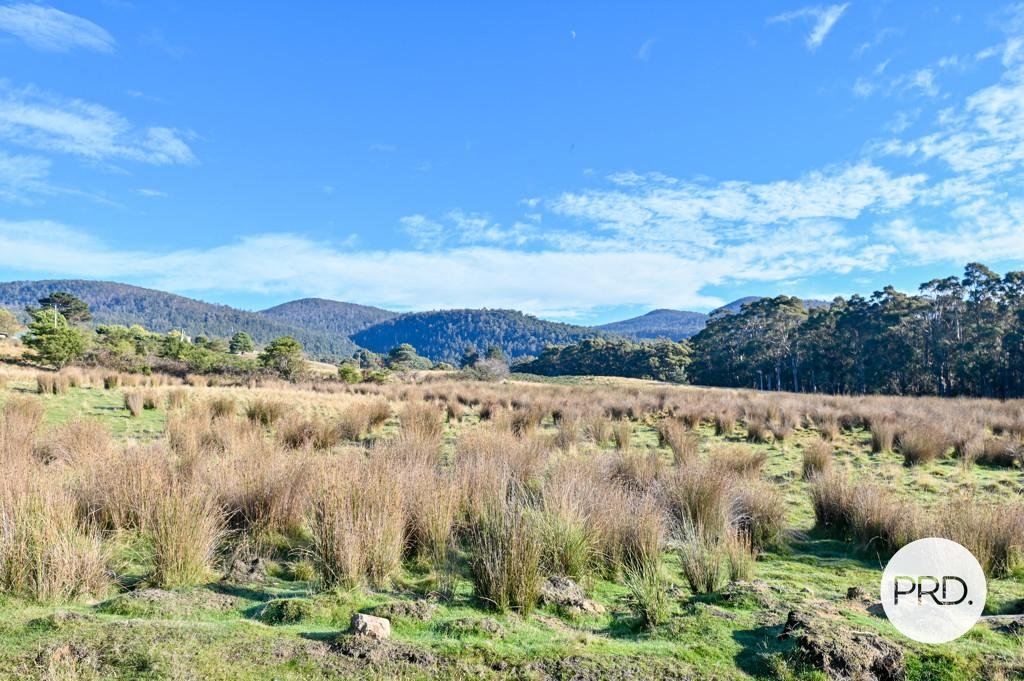 Lot 1 Rayners Hill Road ELLENDALE 14