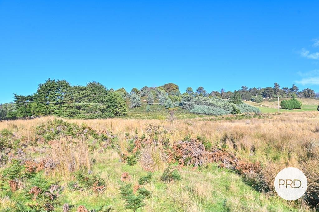 Lot 1 Rayners Hill Road ELLENDALE 17