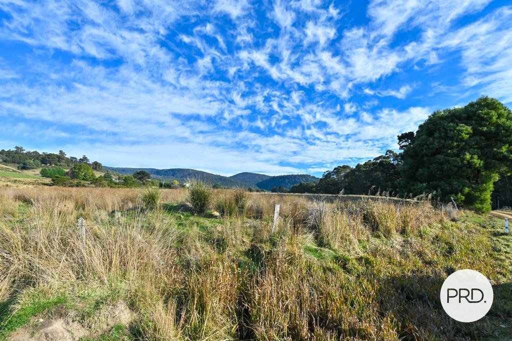 Lot 1 Rayners Hill Road ELLENDALE 18