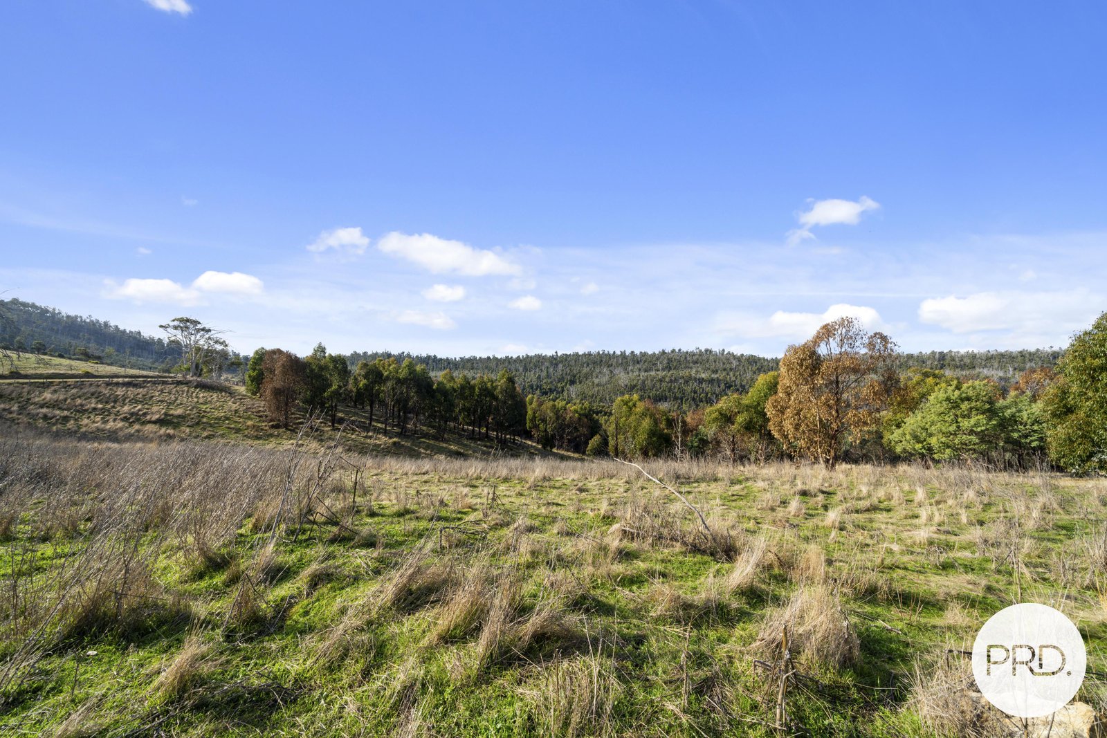  Rockmount Road ELLENDALE 21