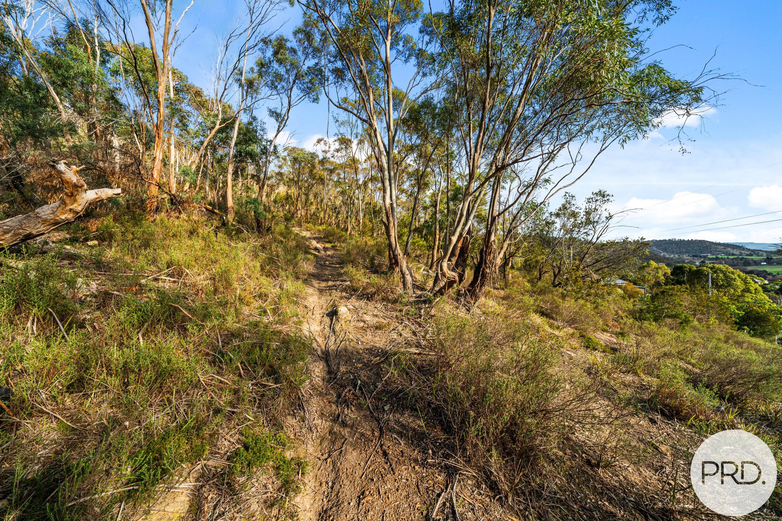  Sharland Avenue NEW NORFOLK 4