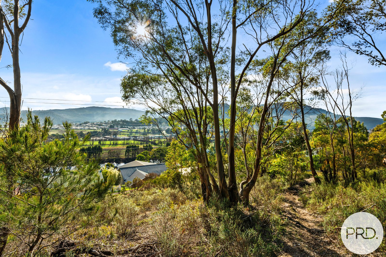  Sharland Avenue NEW NORFOLK 6