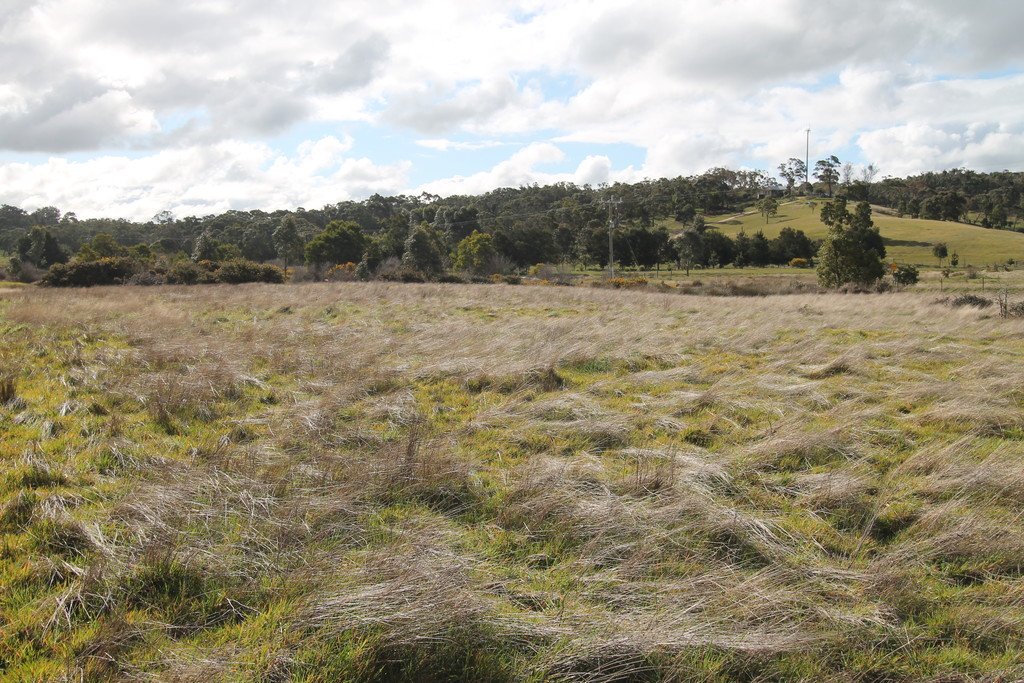 Lot 1 TP804206 Glenelg Highway SCARSDALE 2