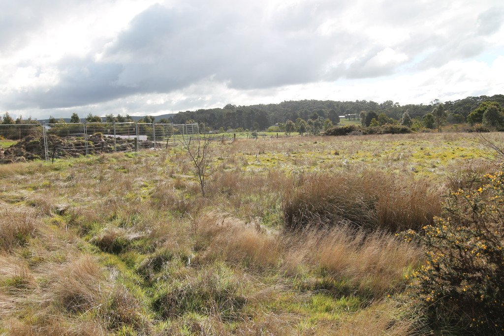 Lot 1 TP804206 Glenelg Highway SCARSDALE 4
