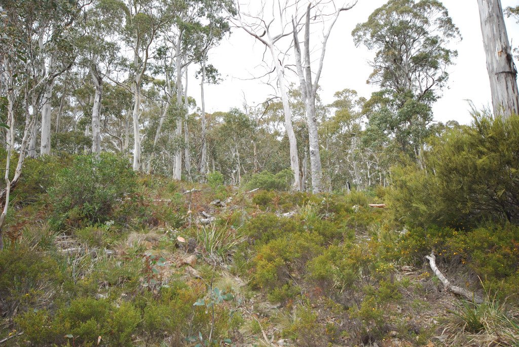 Lot 1 Victoria Valley Road VICTORIA VALLEY 3