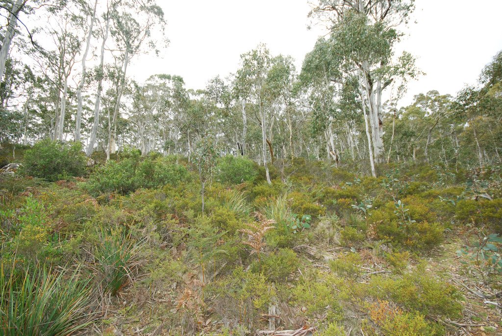 Lot 1 Victoria Valley Road VICTORIA VALLEY 5