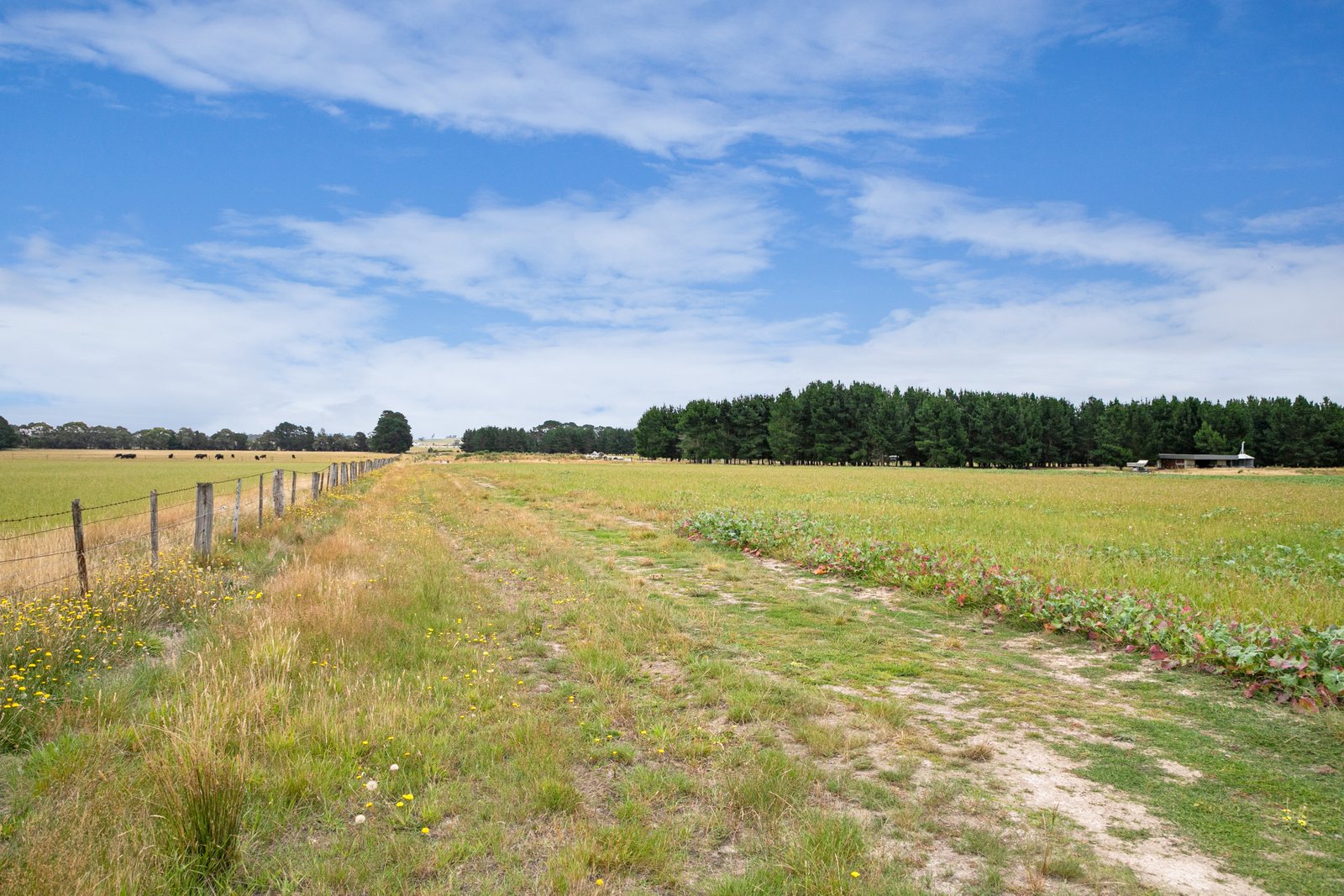 Lot 1 Wilsons Road HADDON 7