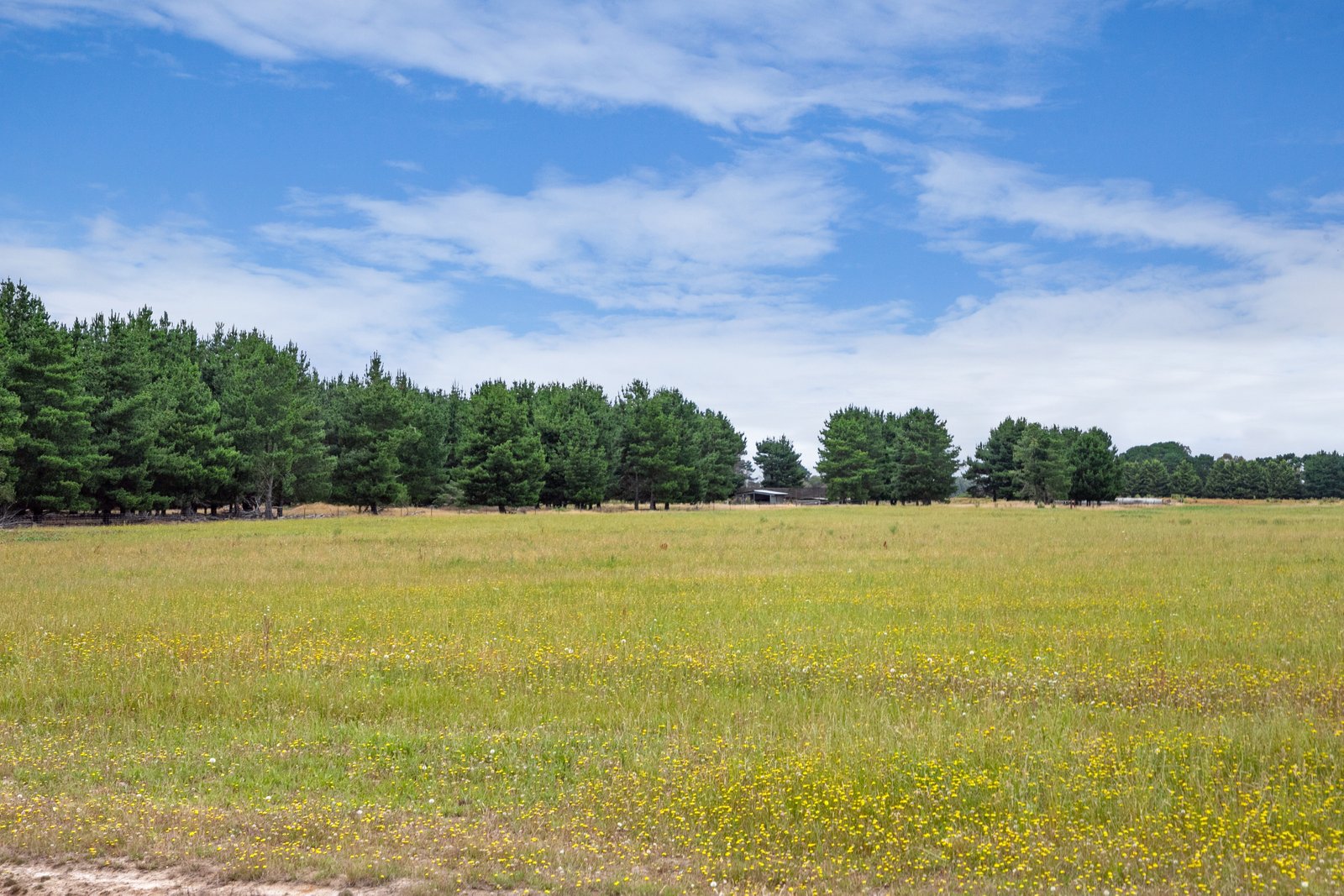 Lot 1 Wilsons Road HADDON 8