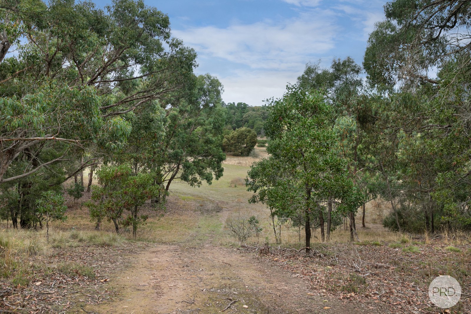  Young Street LINTON 5