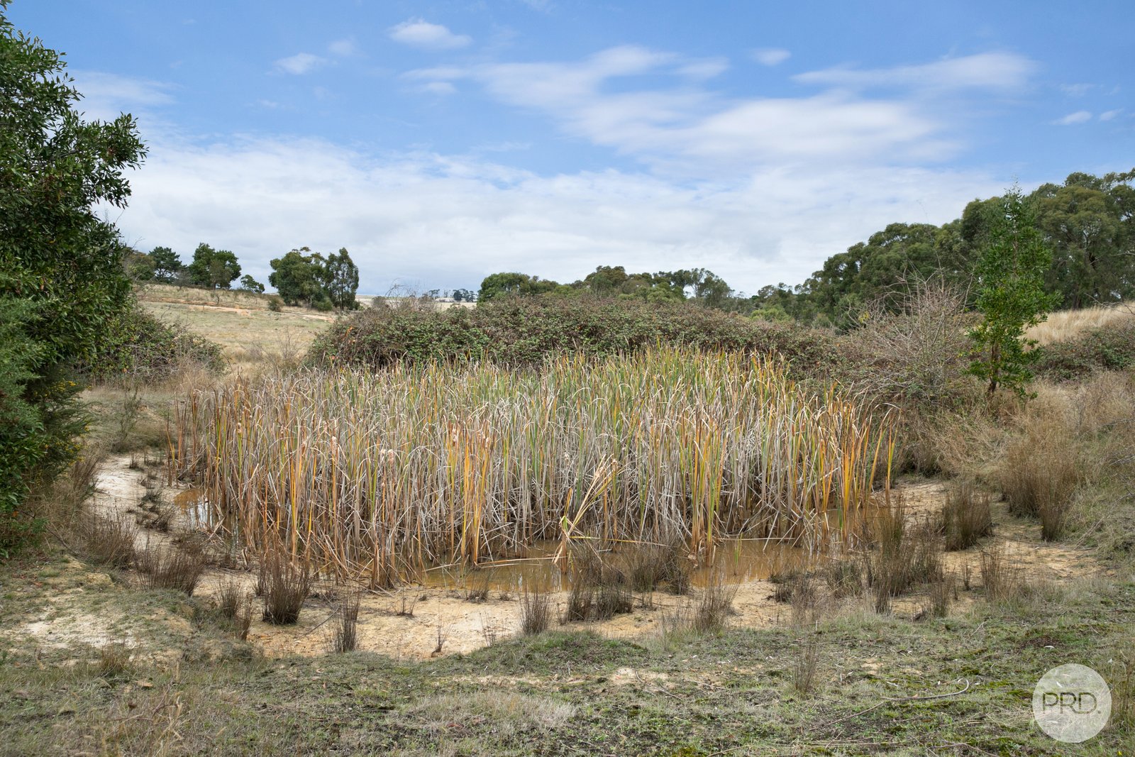  Young Street LINTON 6