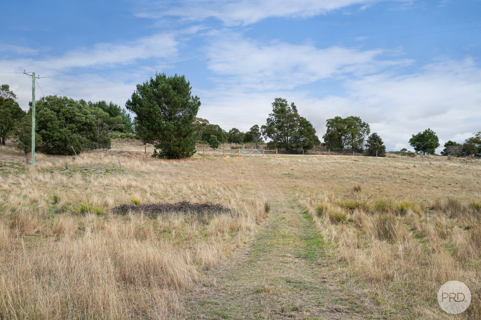  Young Street LINTON 8