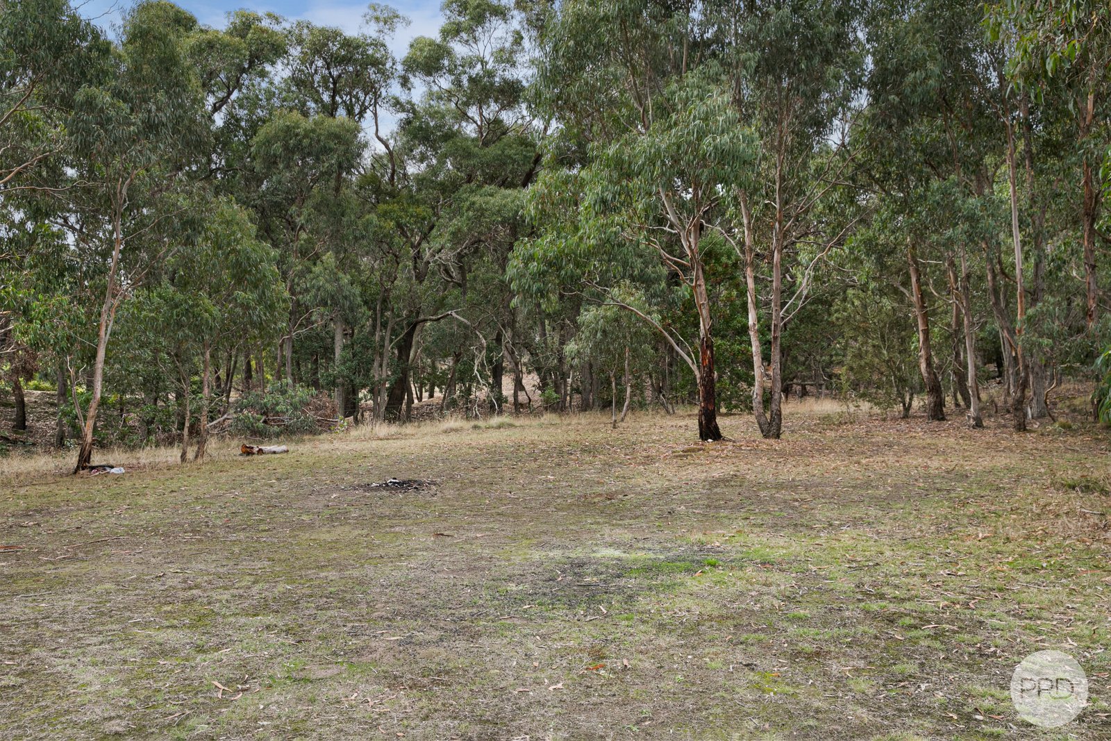  Young Street LINTON 10