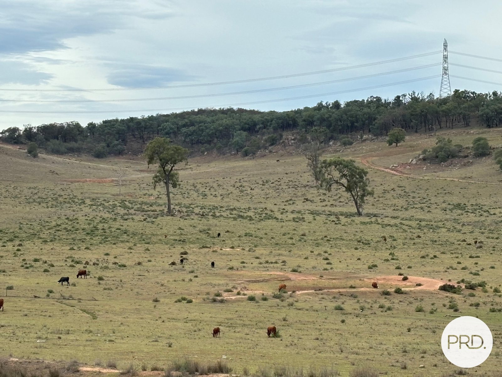 Lot 10, 3140 Golden Highway GUNGAL 6