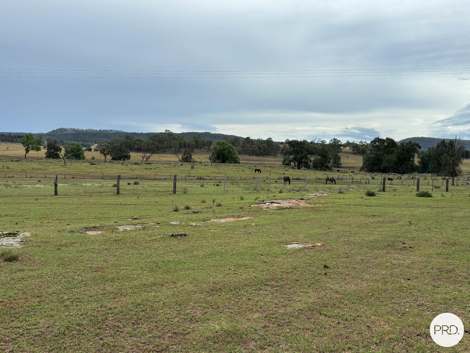 Lot 10, 3140 Golden Highway GUNGAL 10