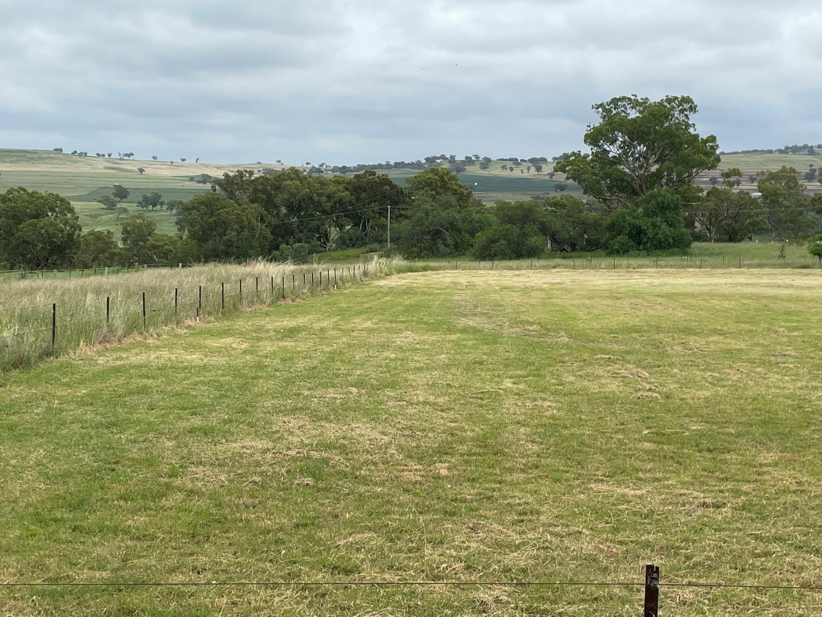 Lot 10 Bow Street MERRIWA 2