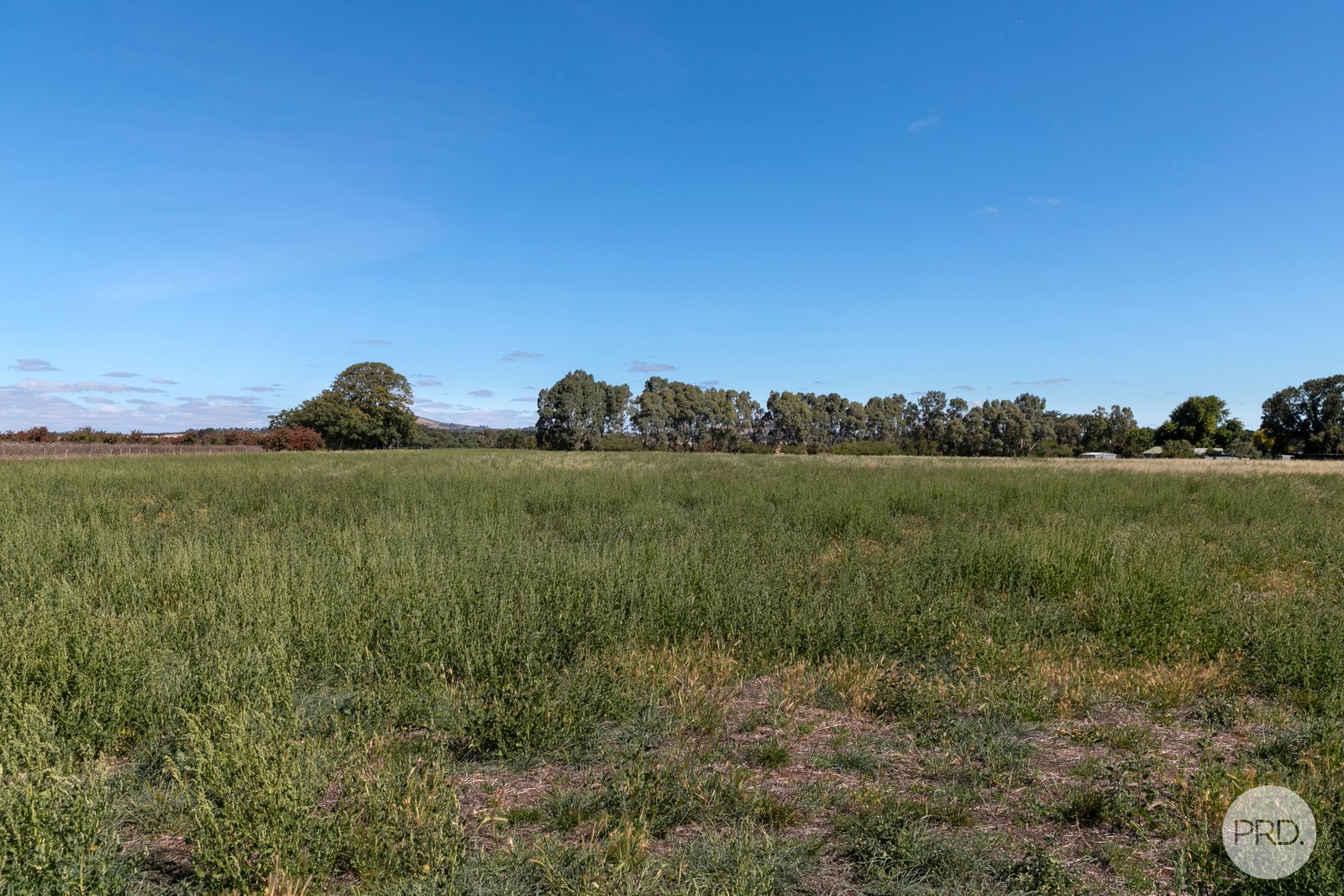 18 Frederick Street SMEATON 11