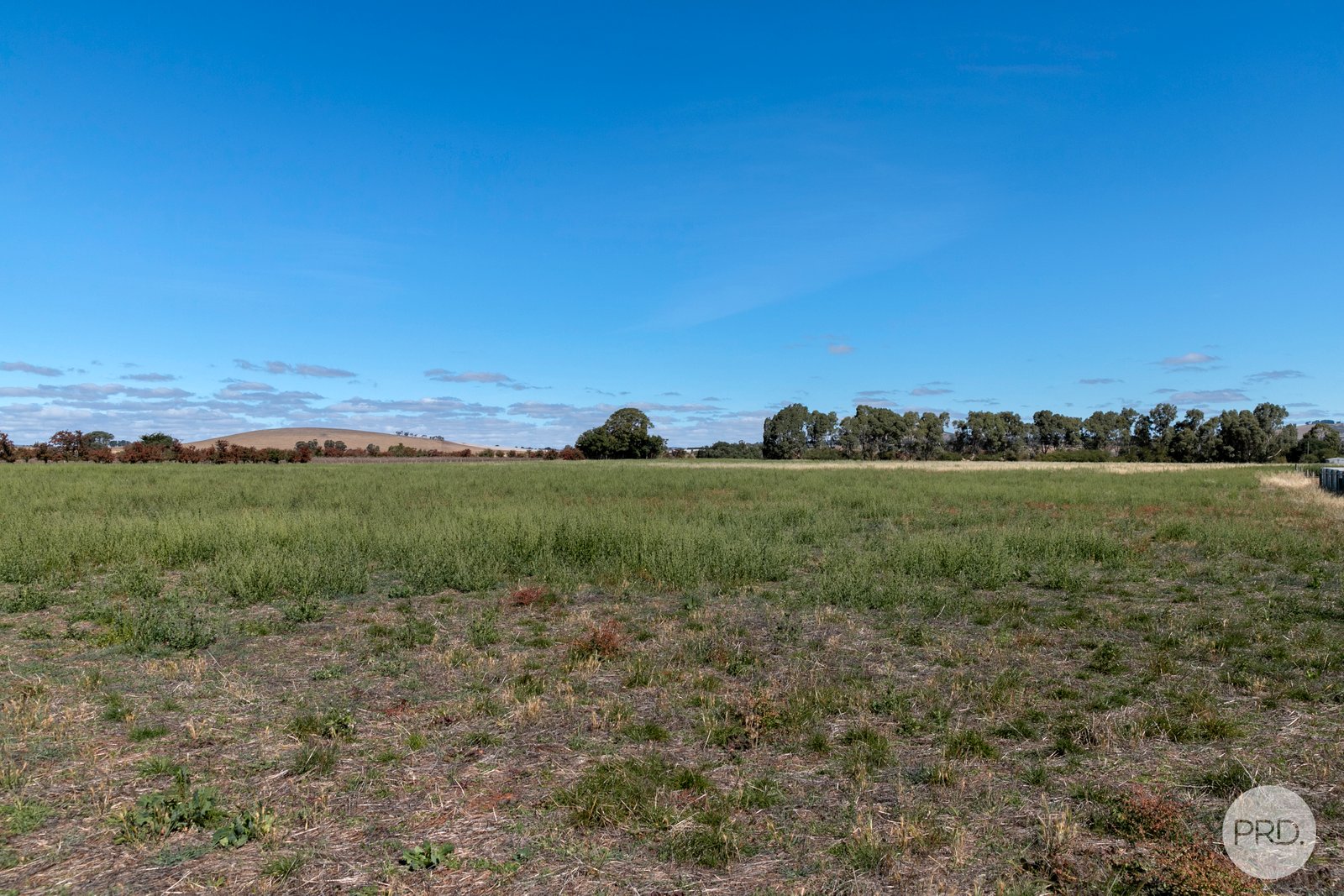 18 Frederick Street SMEATON 12