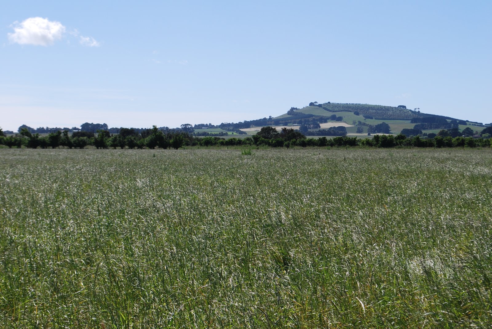 18 Frederick Street SMEATON 14