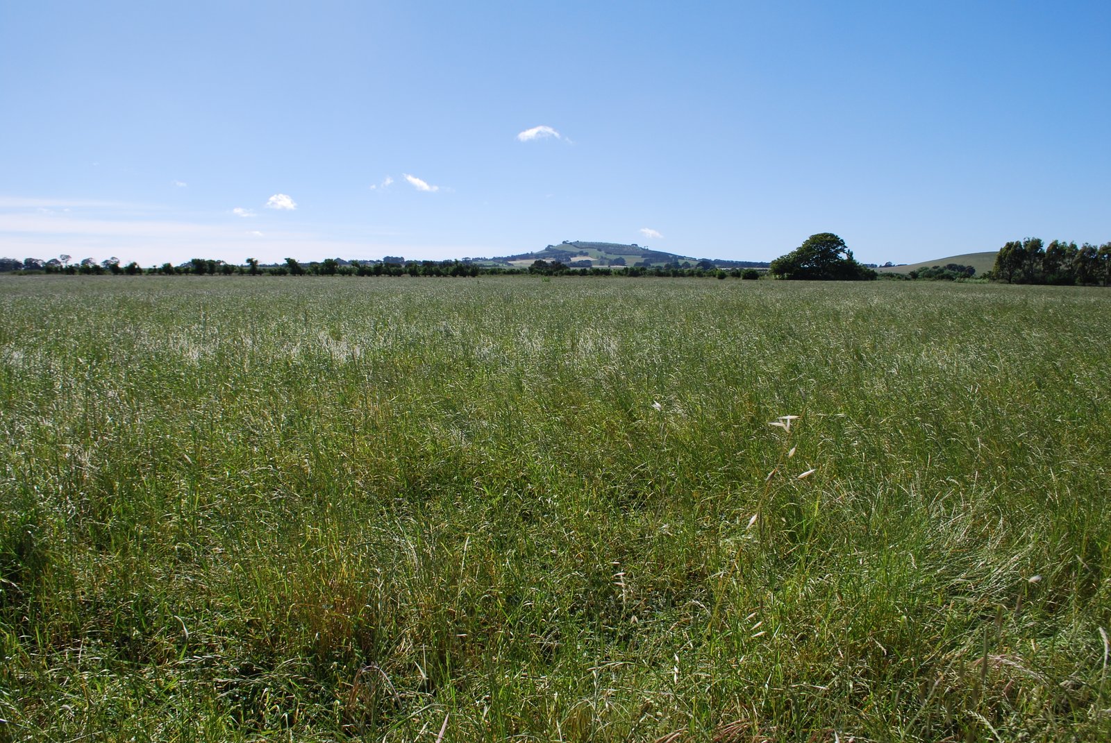 18 Frederick Street SMEATON 15