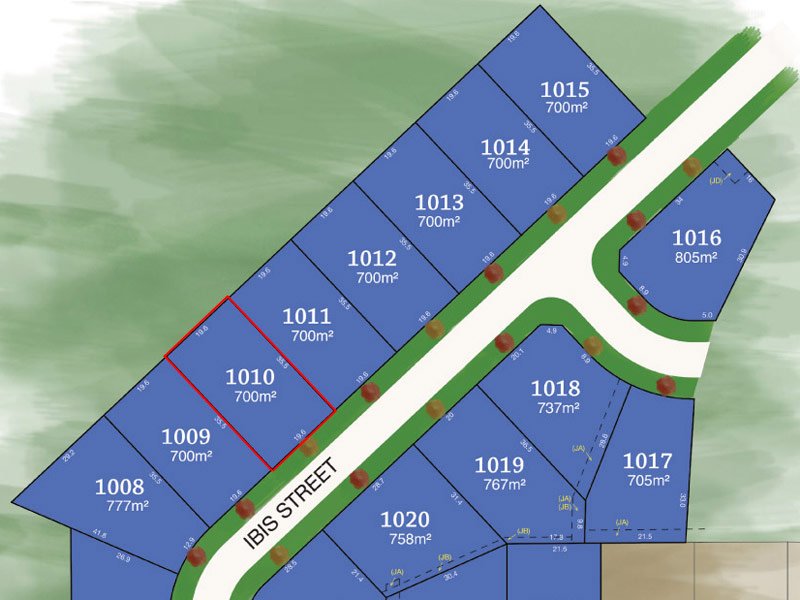 Lot 1010 Ibis Street TAMWORTH 4