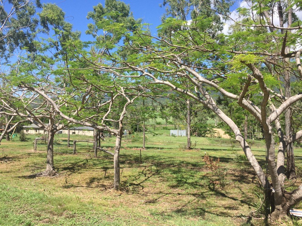 Lot 1021 Black Road RIORDANVALE 2