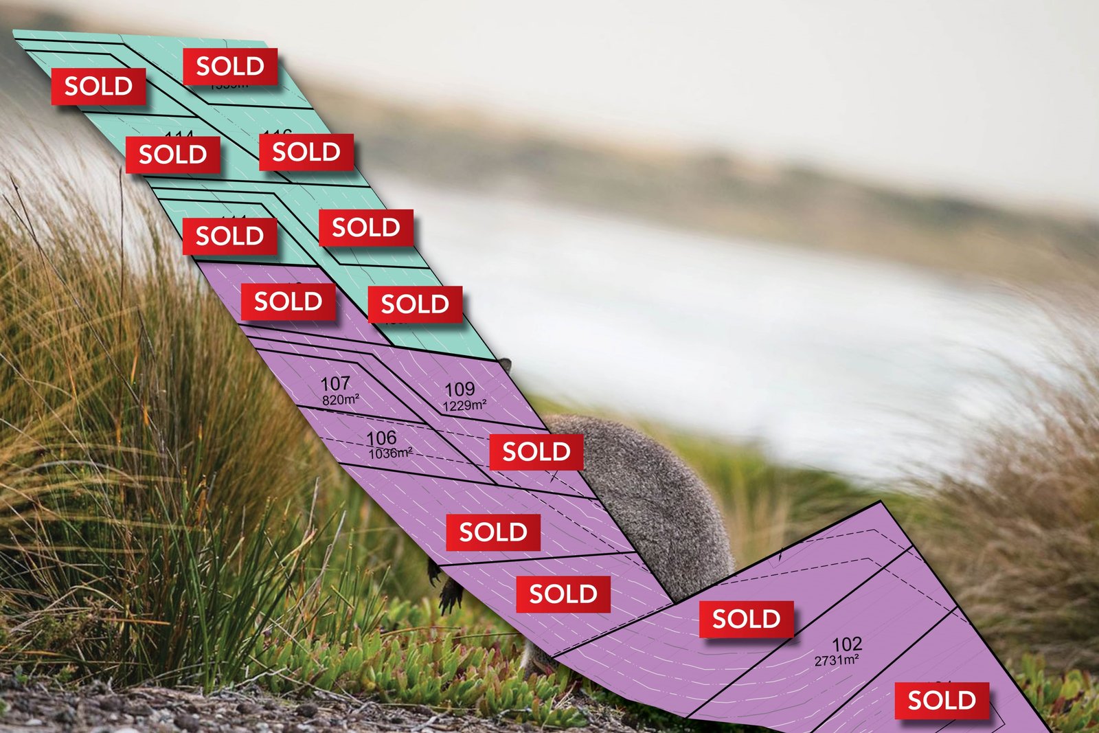 Lot 109 Kiewa Rise LENAH VALLEY 7