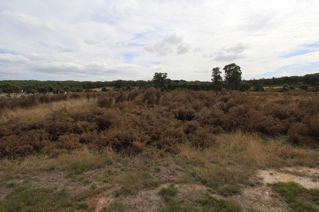 Lot 11 Wills Street SMYTHESDALE 2