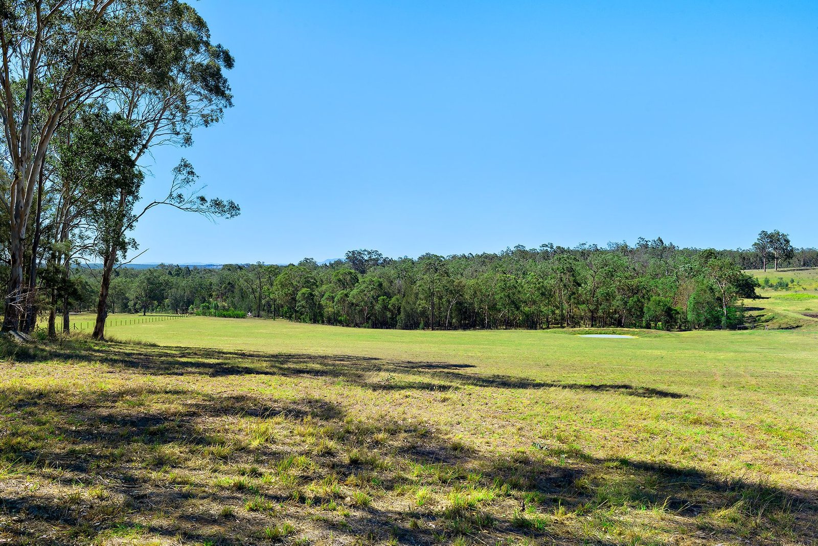 Lot 1/1432 Wine Country Drive, ROTHBURY NSW 2320