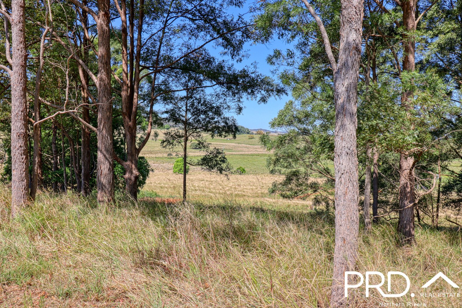 180 Runnymede Road KYOGLE 24