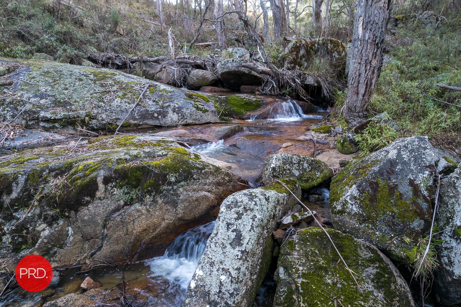 Lot 12 & 31 Nightjar Rd  KINDERVALE 5