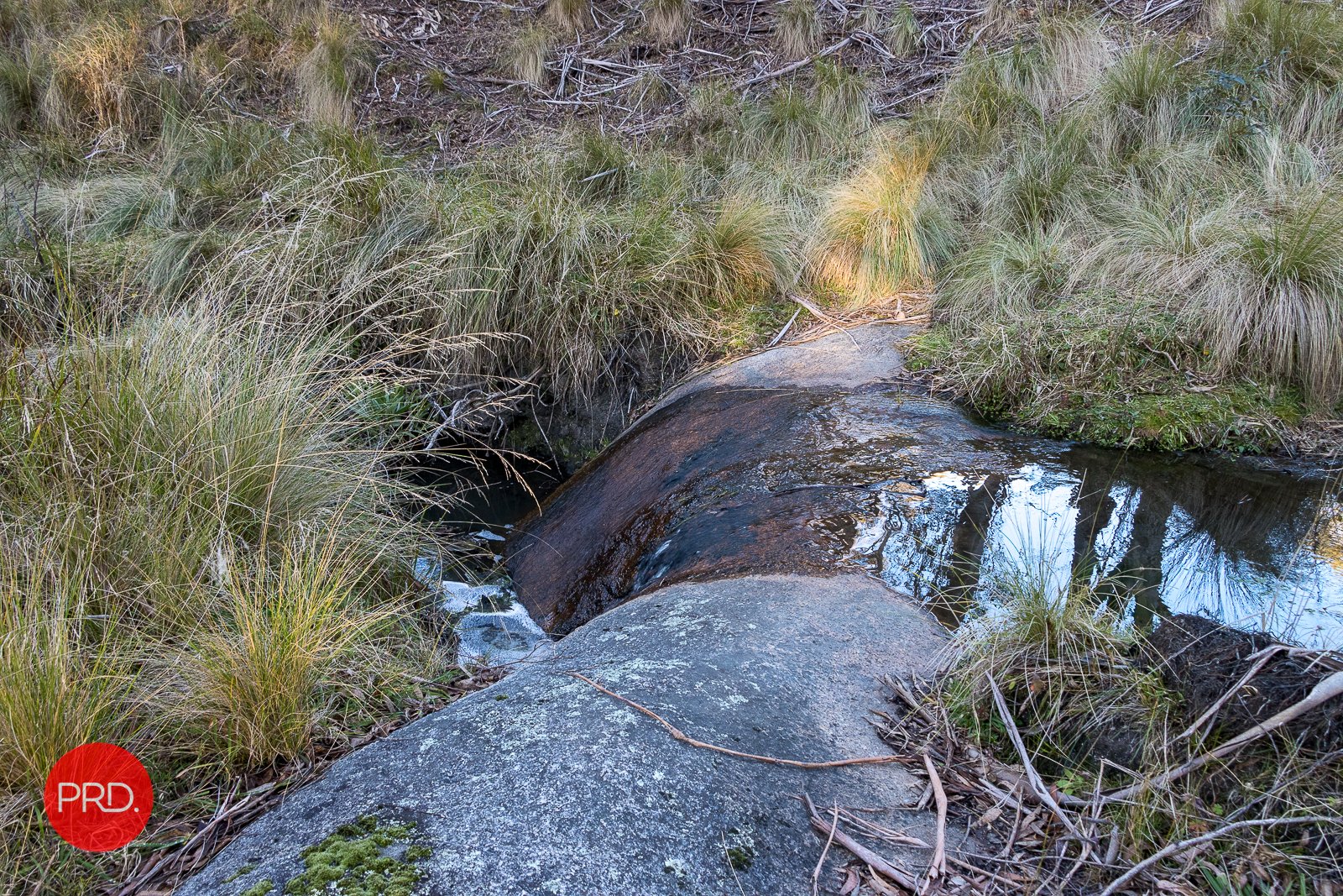 Lot 12 & 31 Nightjar Rd  KINDERVALE 12