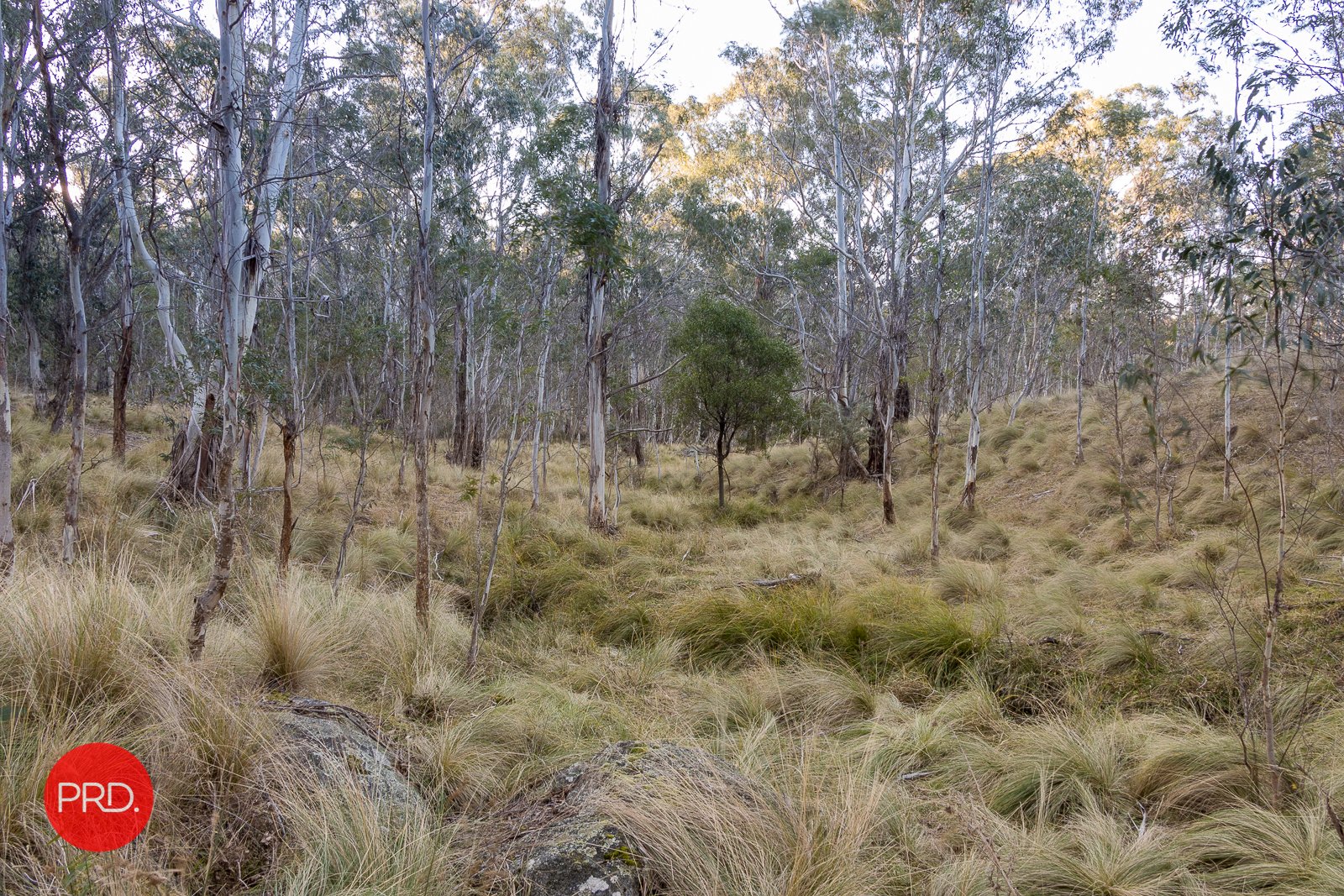 Lot 12 & 31 Nightjar Rd  KINDERVALE 17