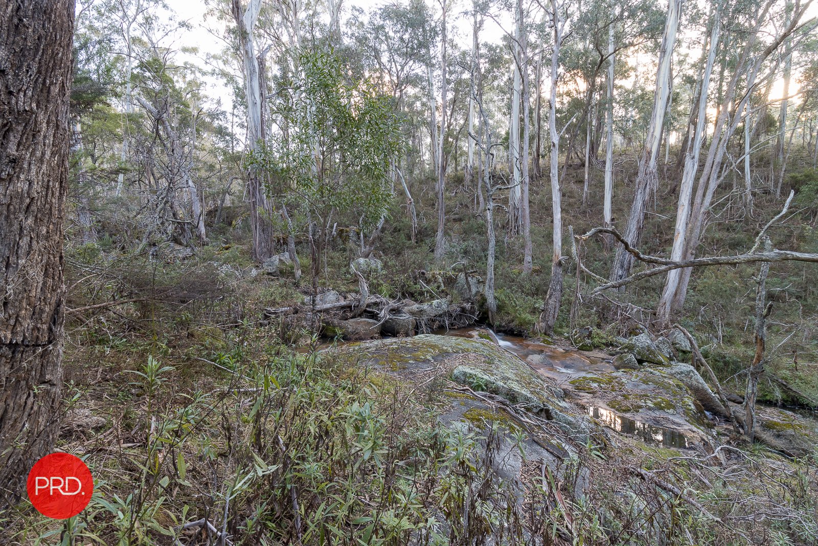 Lot 12 & 31 Nightjar Rd  KINDERVALE 18