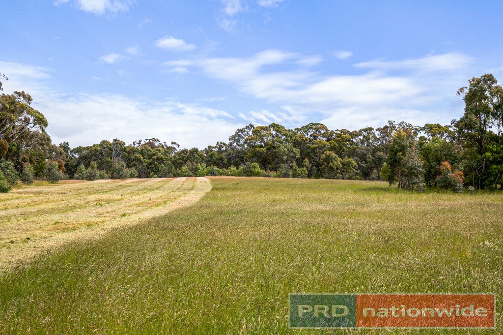 Lot 12 Haywards Road NEWTOWN 1