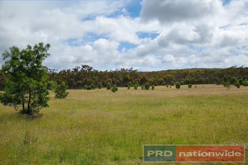 Lot 12 Haywards Road NEWTOWN 2
