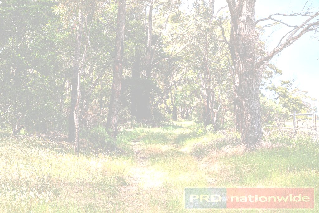 Lot 12 Haywards Road NEWTOWN 8