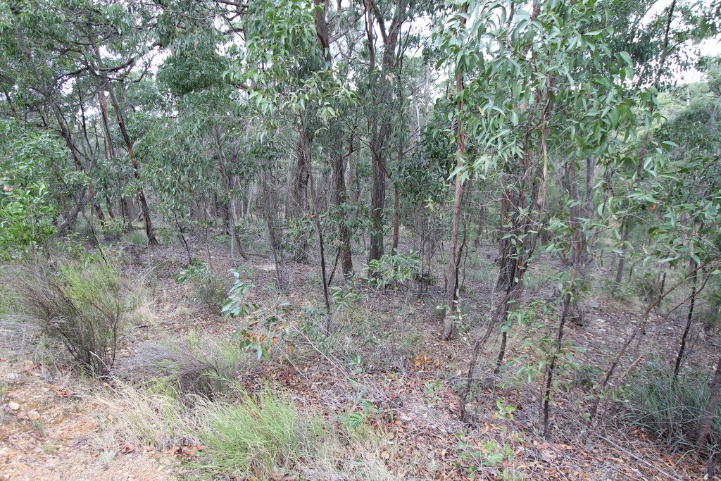 Lot 12 Moppianimum Road SCARSDALE 1