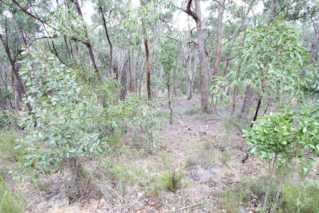 Lot 12 Moppianimum Road SCARSDALE 3