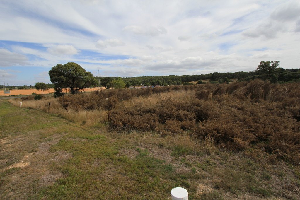 Lot 12 Wills Street SMYTHESDALE 2